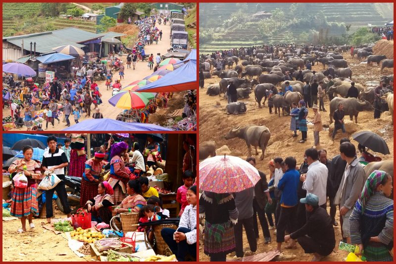 Can Cau weekly market (Lao Cai) in Vietnam